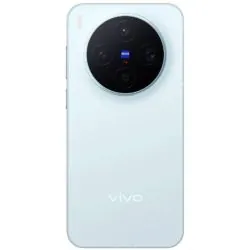 vivo X300