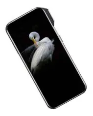ZTE Axon V