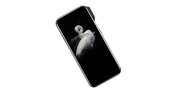 ZTE Axon V