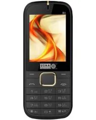 Usha Shriram B3