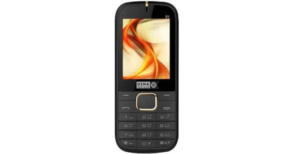 Usha Shriram B3