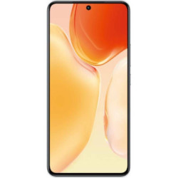 vivo X70