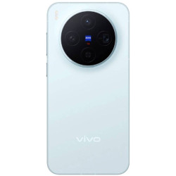 vivo X300