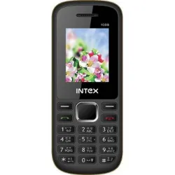 Intex